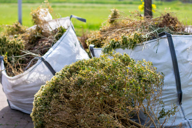 Professional Junk Removal Services in Rio Vista, CA